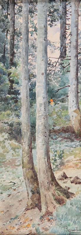  'BOSQUE'