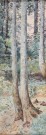 Lote 171: 'BOSQUE' Lote 171: 'BOSQUE' 'BOSQUE'