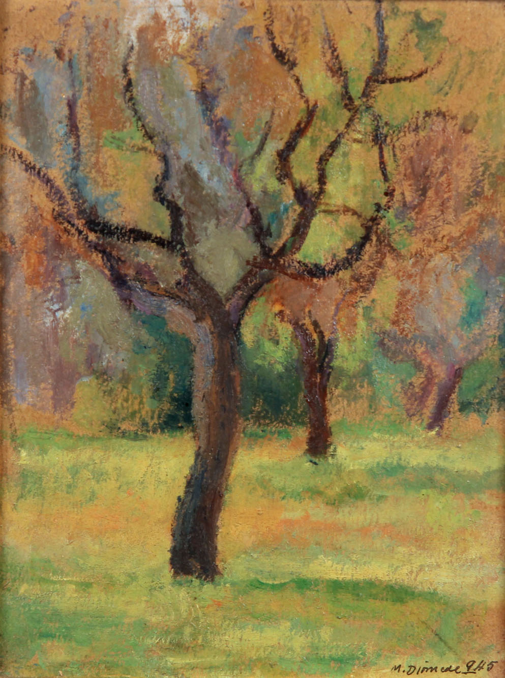 DIOMEDE, Miguel 'EL ARBOL' 