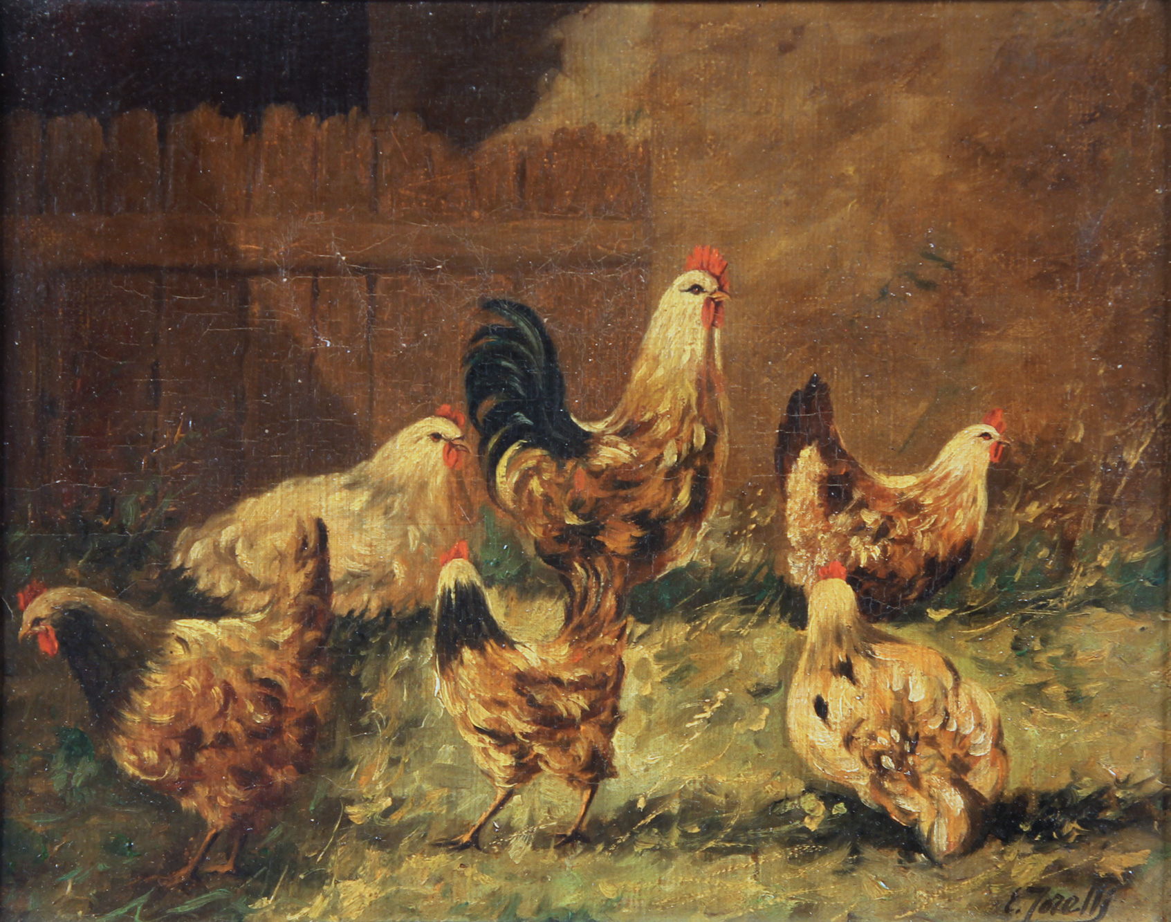  'GALLINAS' 