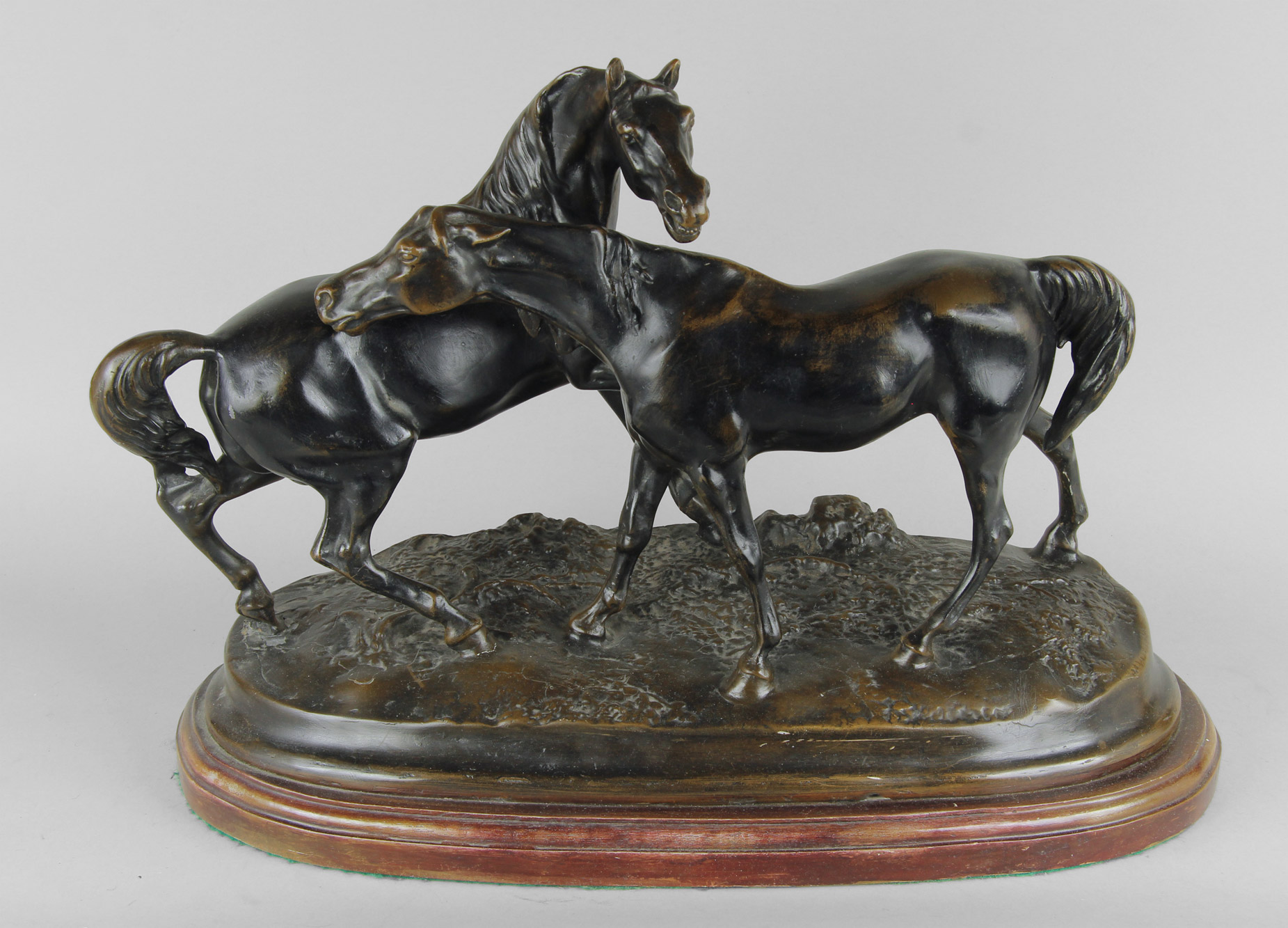  'CABALLOS' 