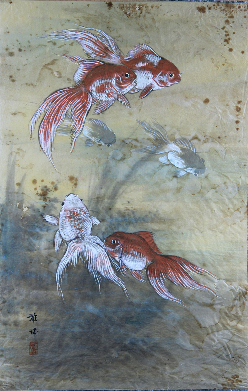  'PECES KOI' 