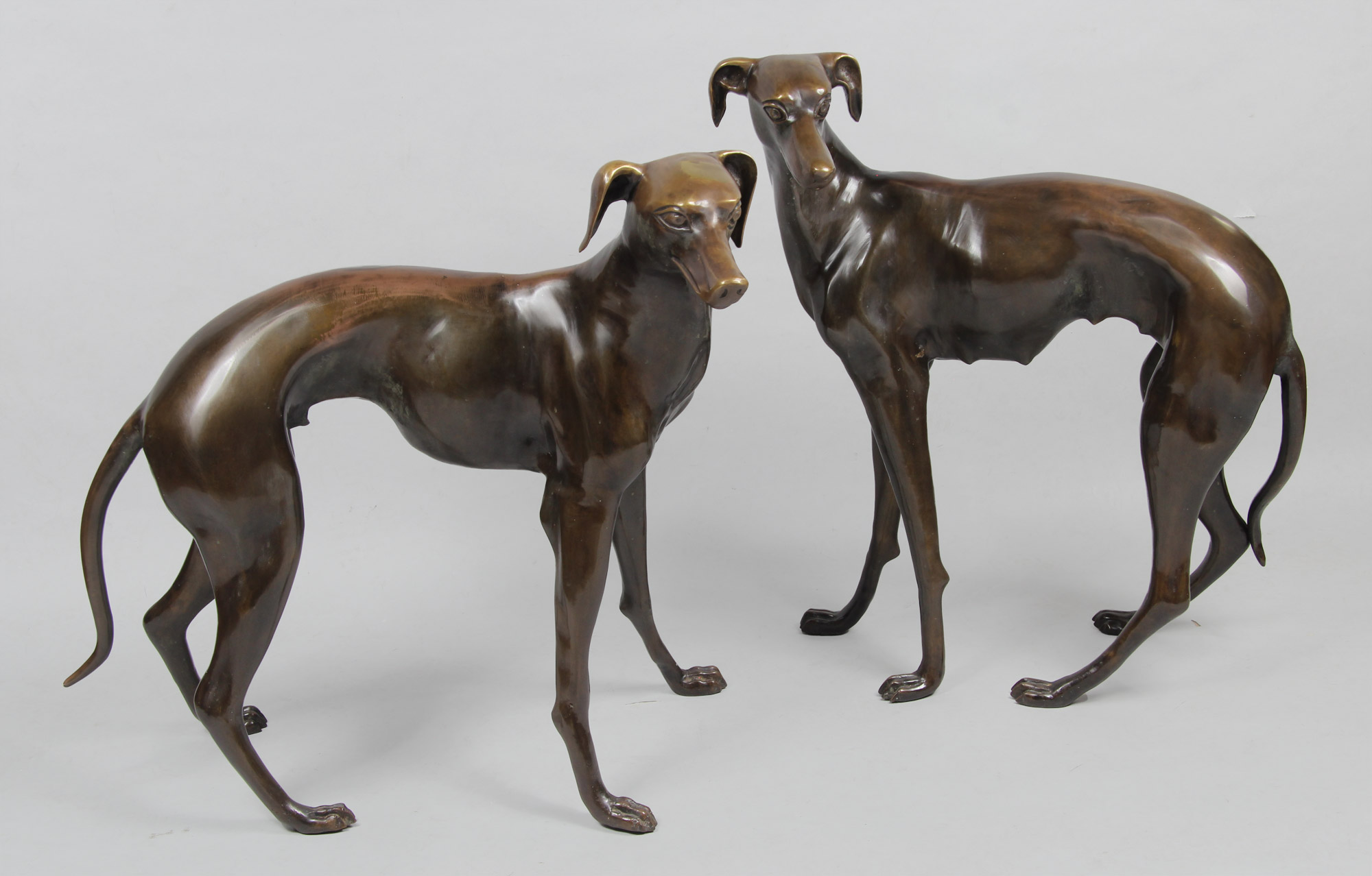  'PAREJA DE GALGOS' 