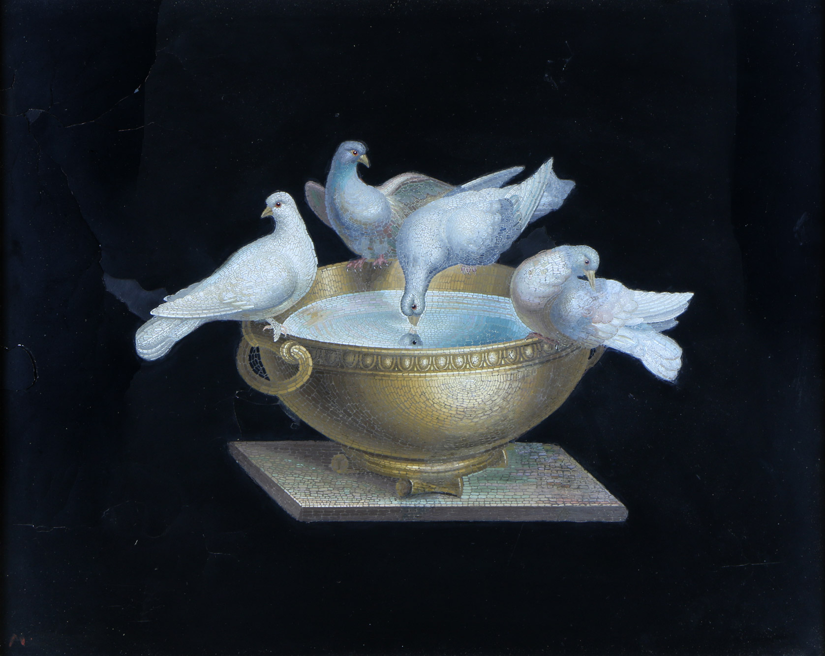  'PALOMAS DE PLINY'
