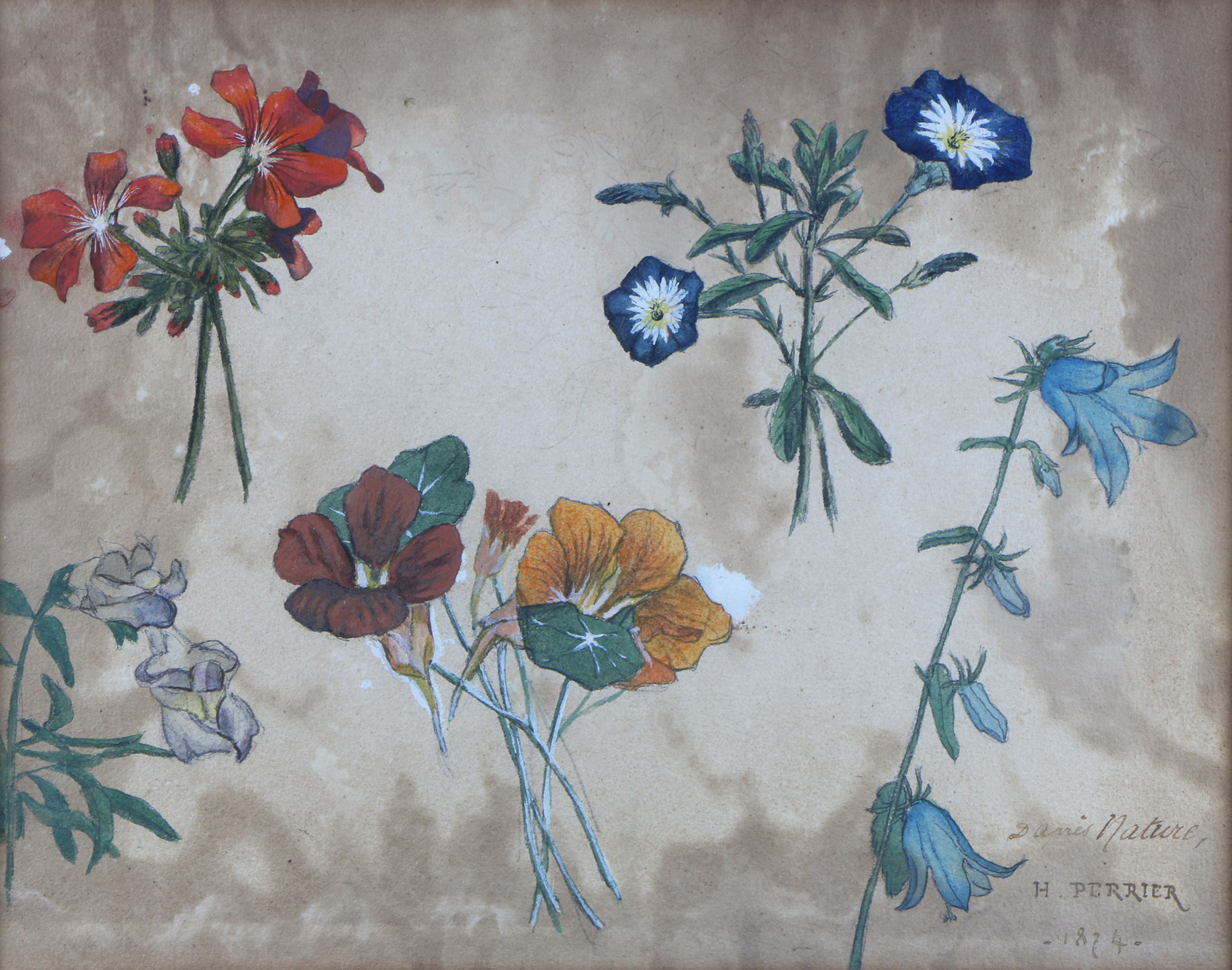  'FLORES' 
