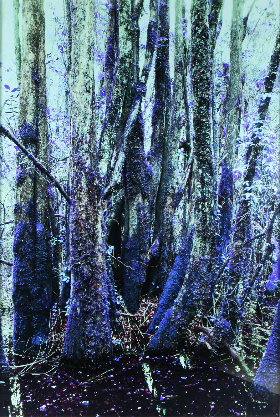 FE CIPRIANI 'LA CURA AZUL' FE CIPRIANI 'LA CURA AZUL'