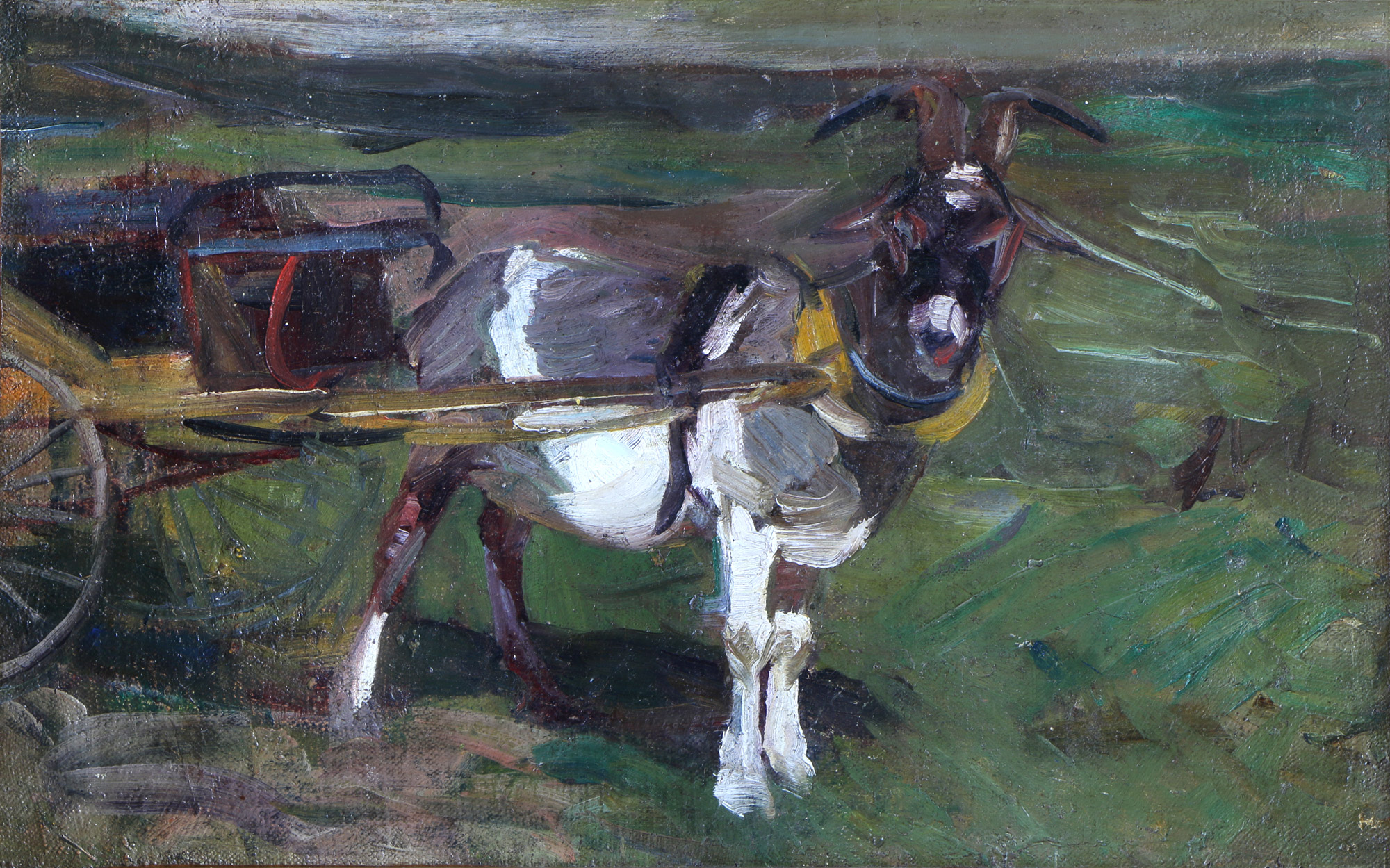 FADER, Fernando 'CHIVO HOLANDES'