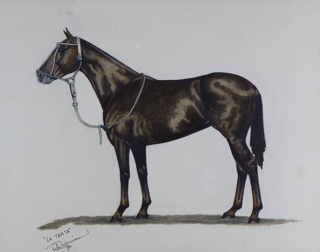 Lote 121: 'LA TANTA'  'LA TANTA' 