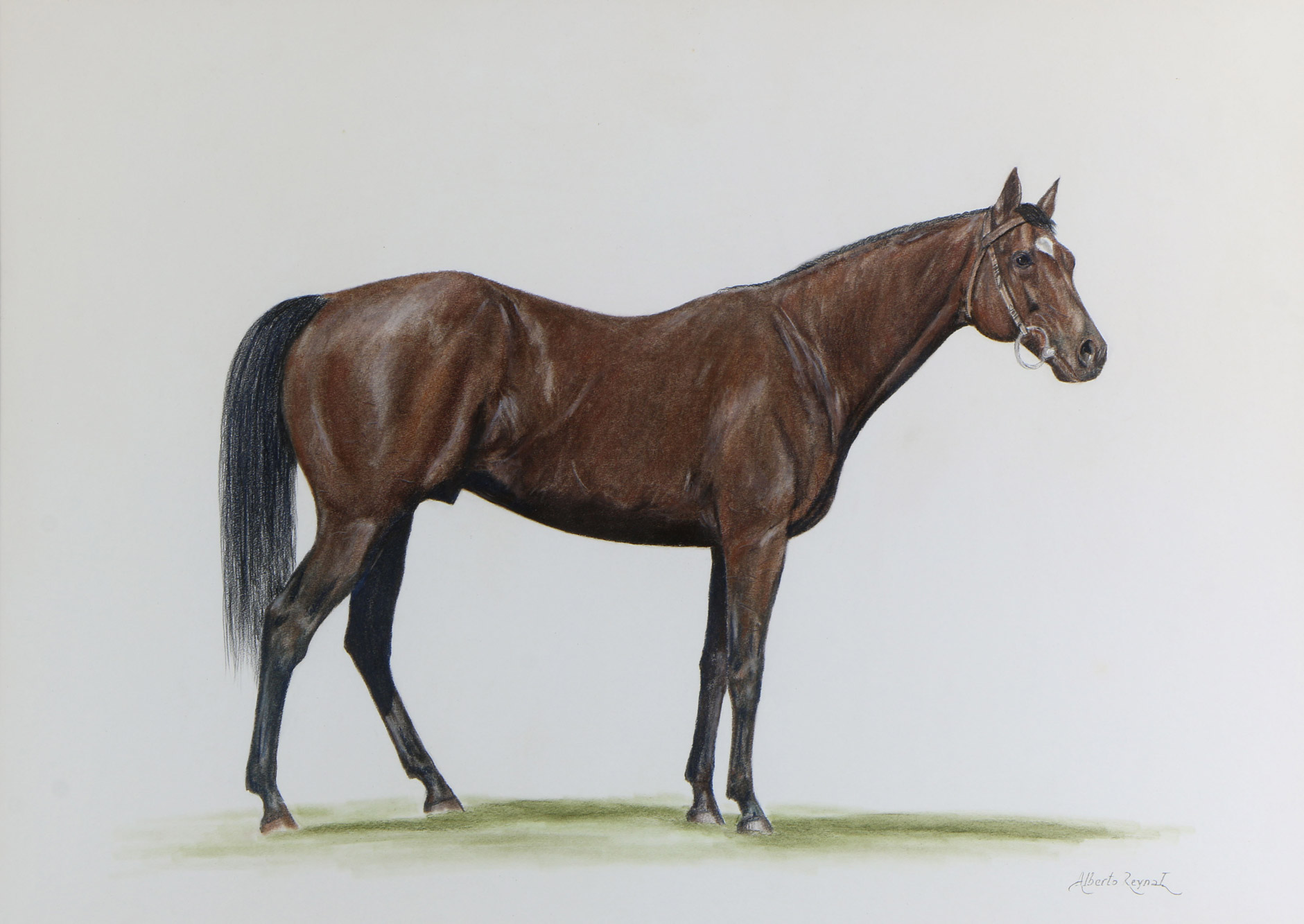 REYNAL, Alberto 'CABALLO' 