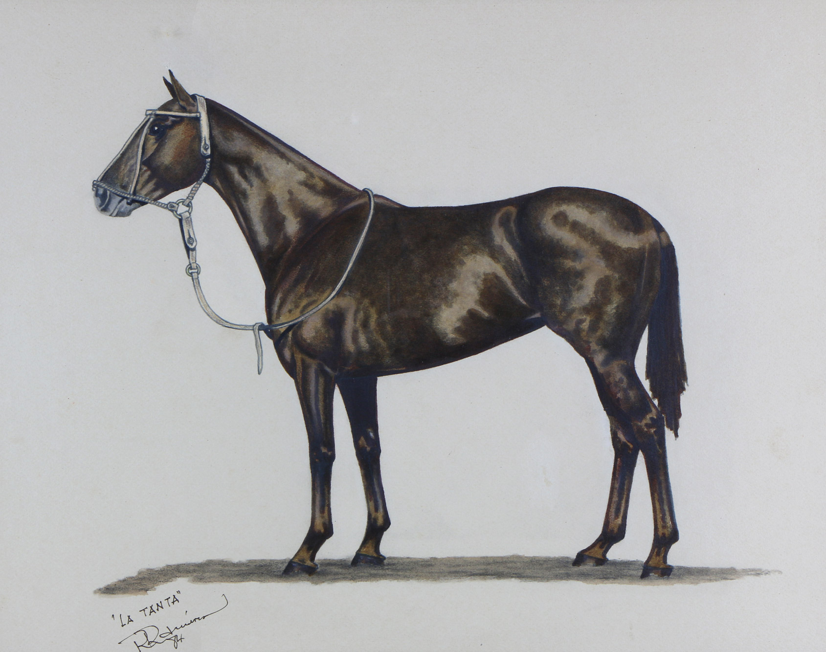  'LA TANTA' 