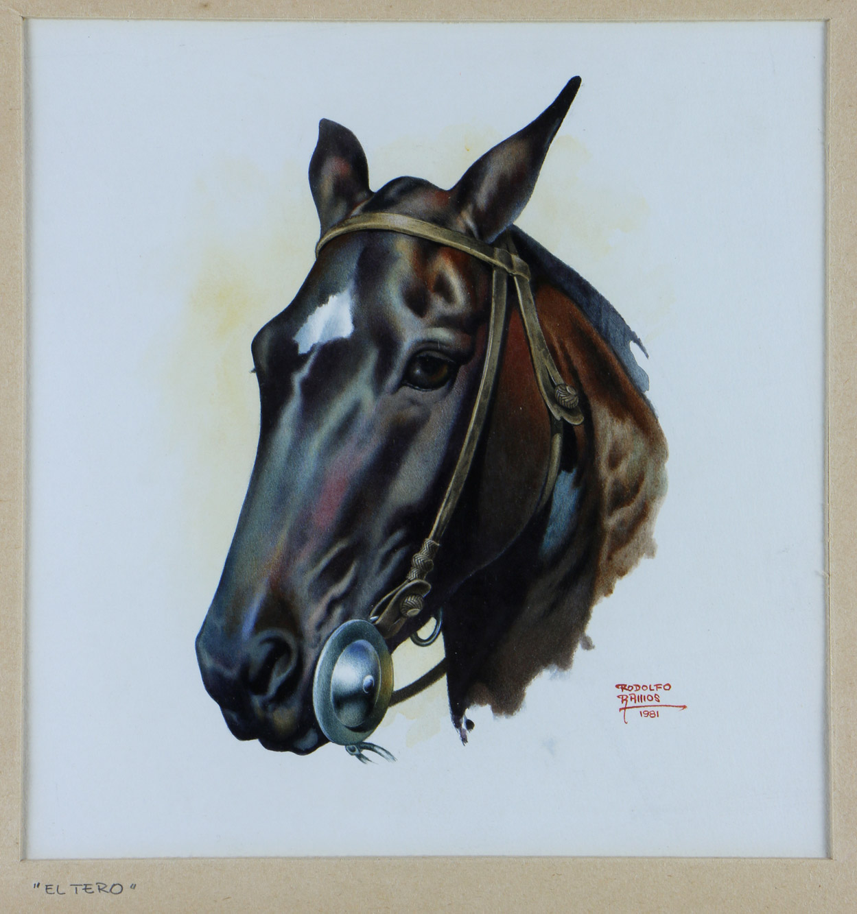 RAMOS, Rodolfo 'EL TERO' 