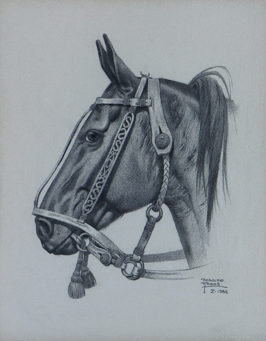 RAMOS, Rodolfo 'CABALLOS' 