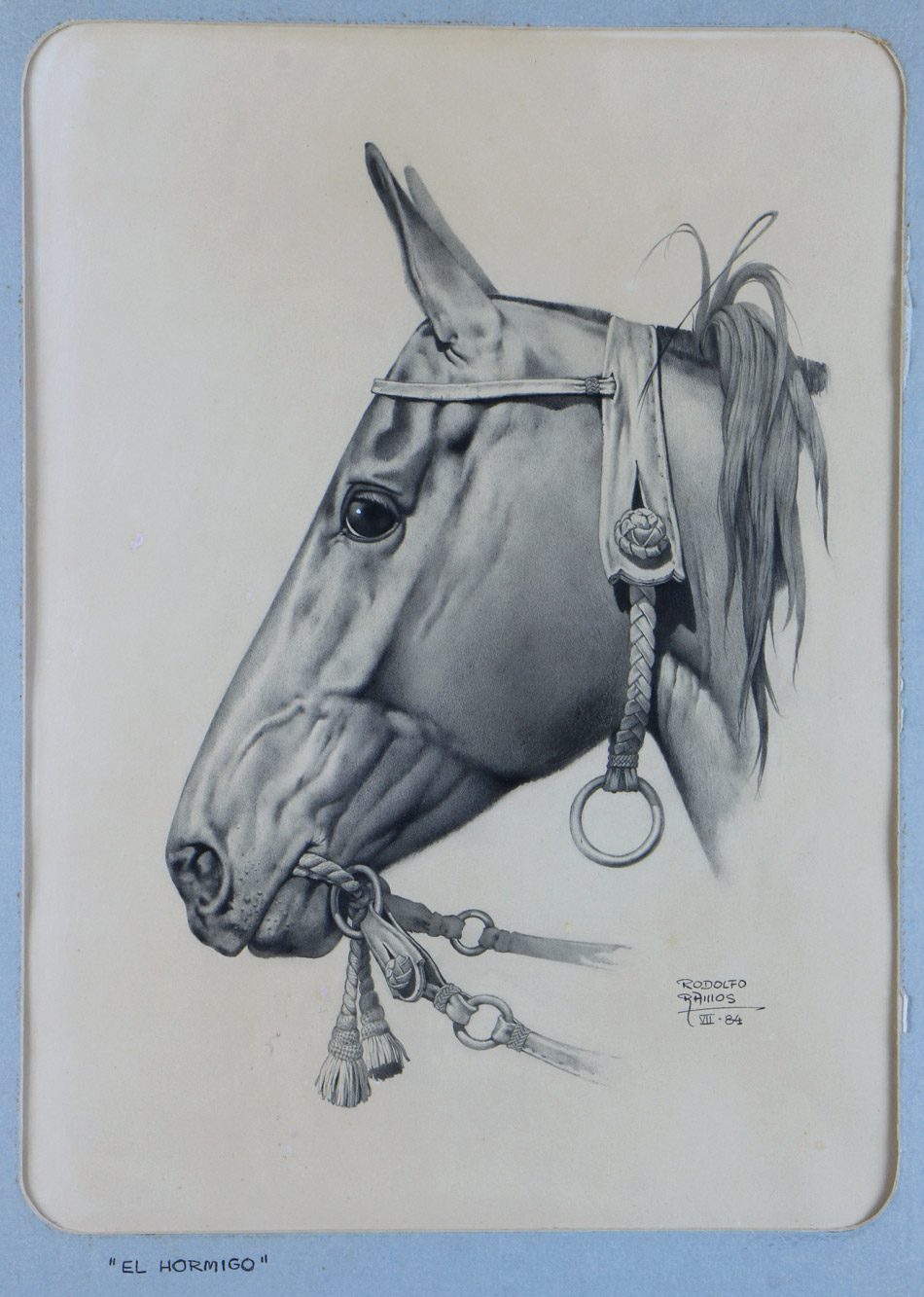 RAMOS, Rodolfo 'EL HORMIGO' 