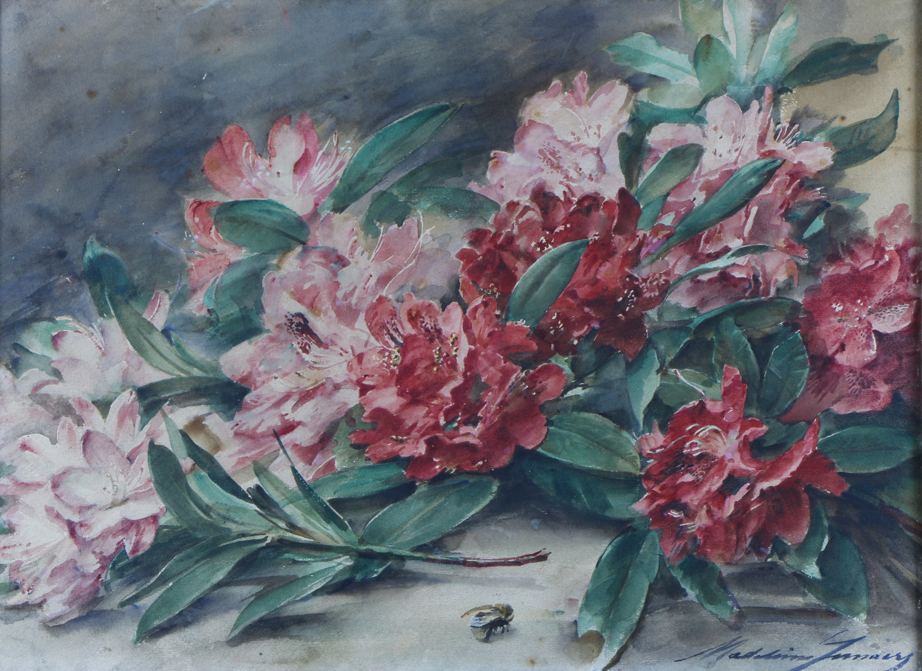 LEMAIRE, Madeleine Jeanne 'FLORES' 