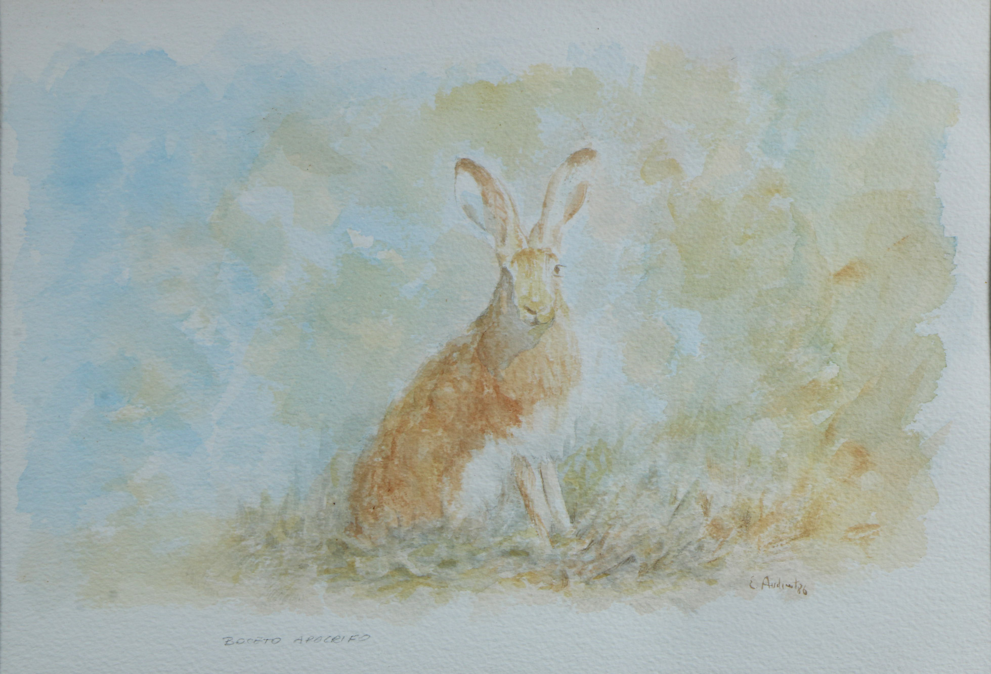 AUDIVERT, Eduardo 'LIEBRE'