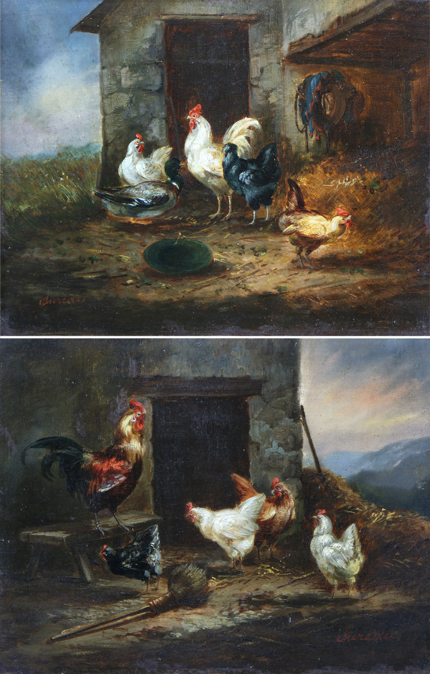 SUREAU 'GALLOS Y GALLINAS'