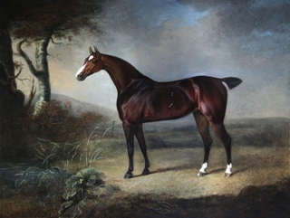 Lote 17: CHALON, Henry Bernard 'HORSE IN A LANDSCAPE'