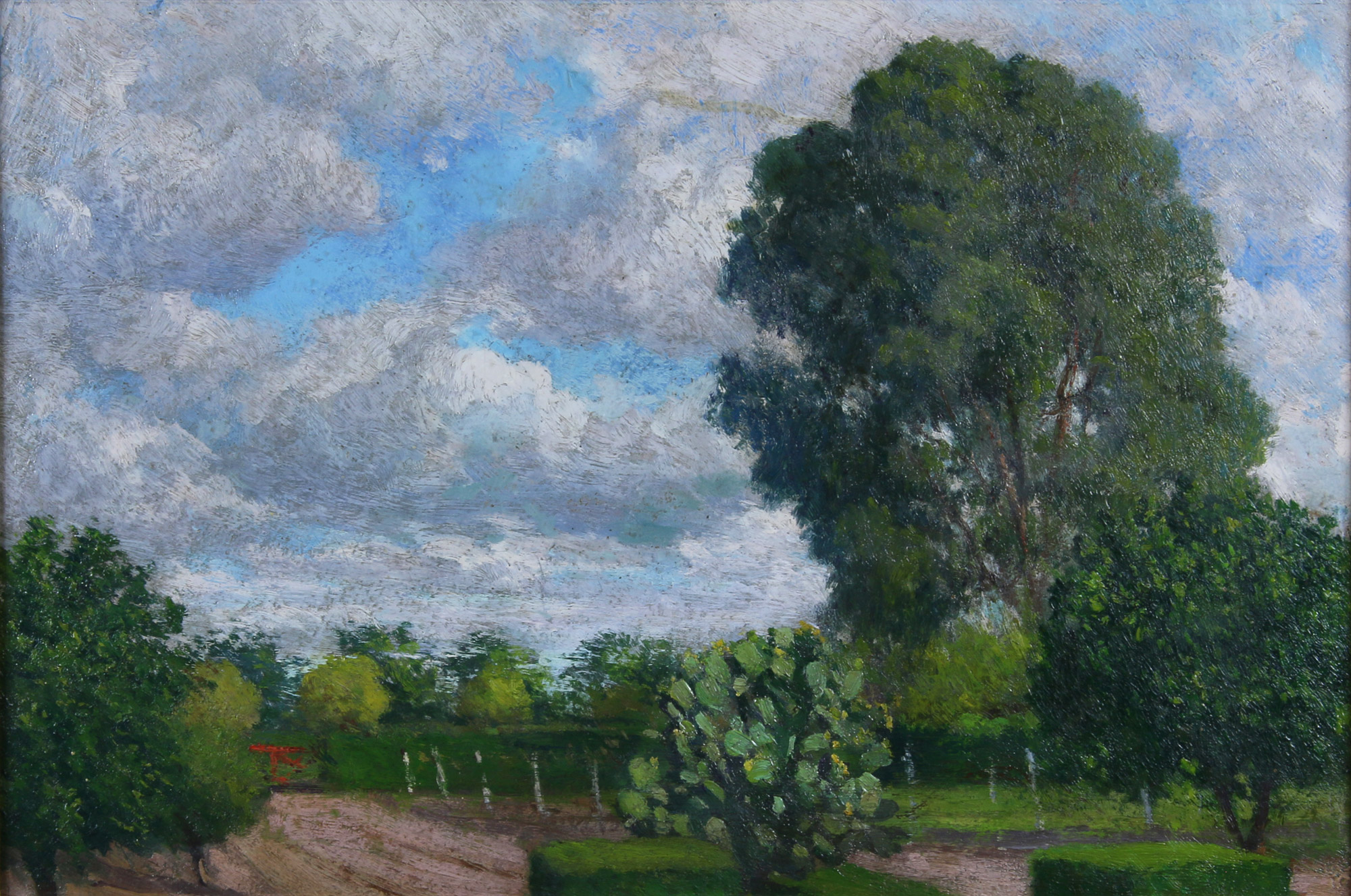 COLLIVADINO, Pio 'PARQUE DE LA ESTANCIA'