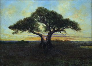 Lote 180: 'SOLEDAD PAMPEANA' 'SOLEDAD PAMPEANA'